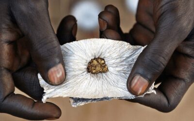 Gold Bars in Al Mirqab  | African Gold Rates