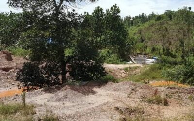 Buy Gold Bars in Abu Samra