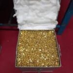 Gold Nuggets
